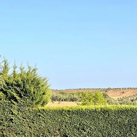 Casa Das Oliveiras Avis Exterior photo