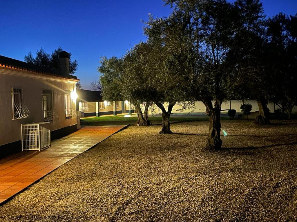 Holiday home Casa Oliveiras *