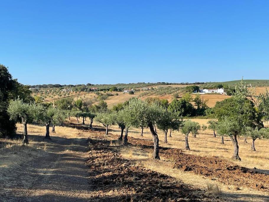 Casa Oliveiras Holiday home